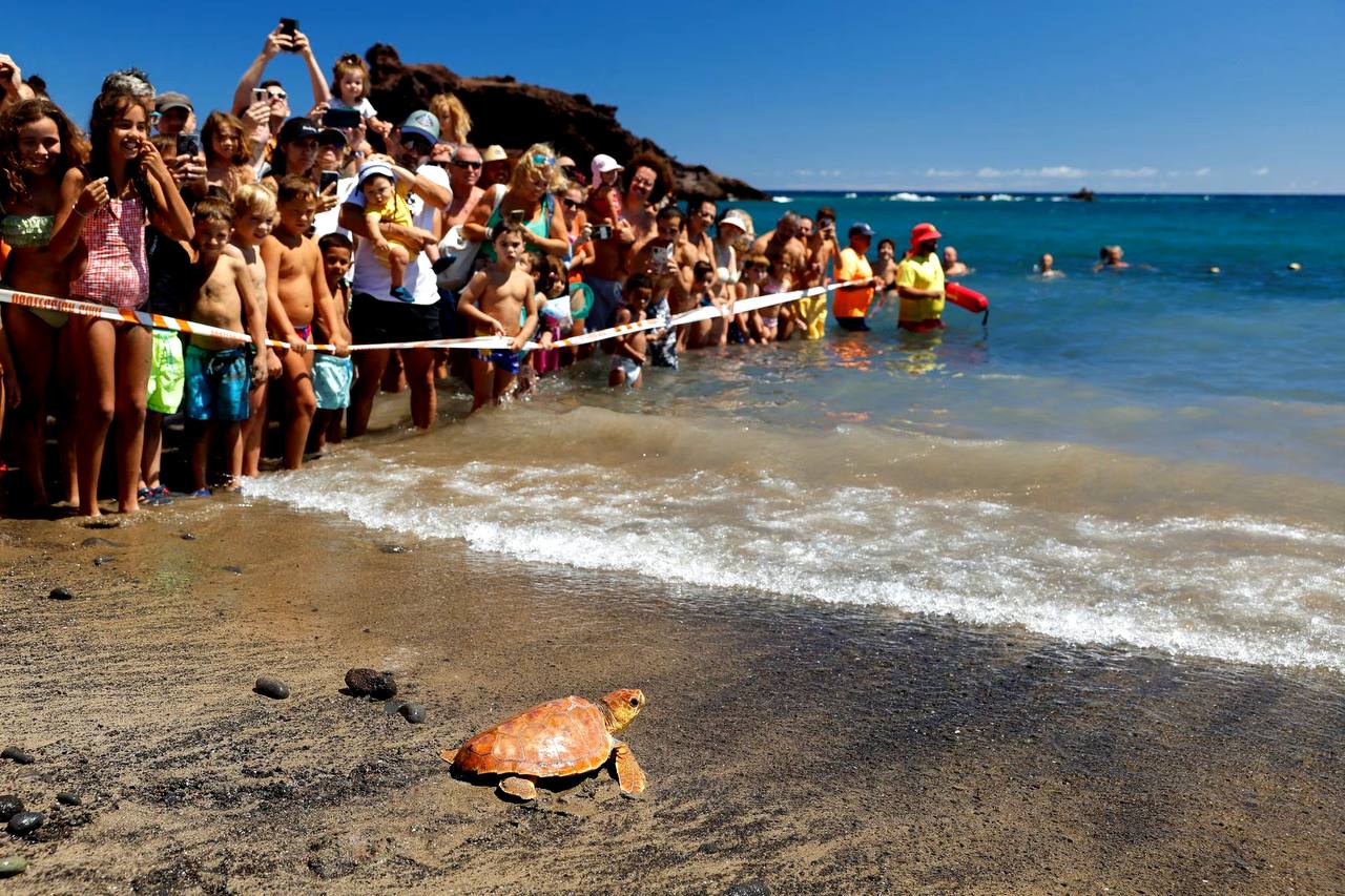 67 nations sign groundbreaking 'High Seas Treaty' for ocean protection 